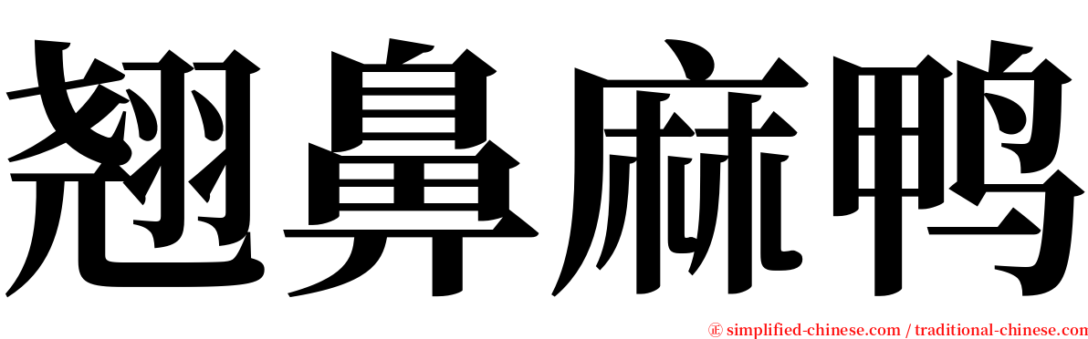 翘鼻麻鸭 serif font