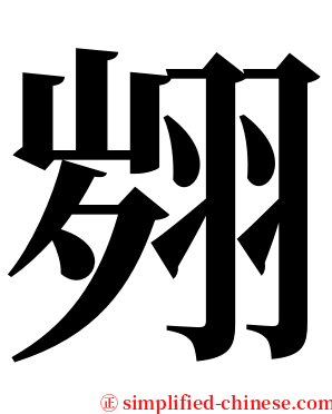 翙 serif font