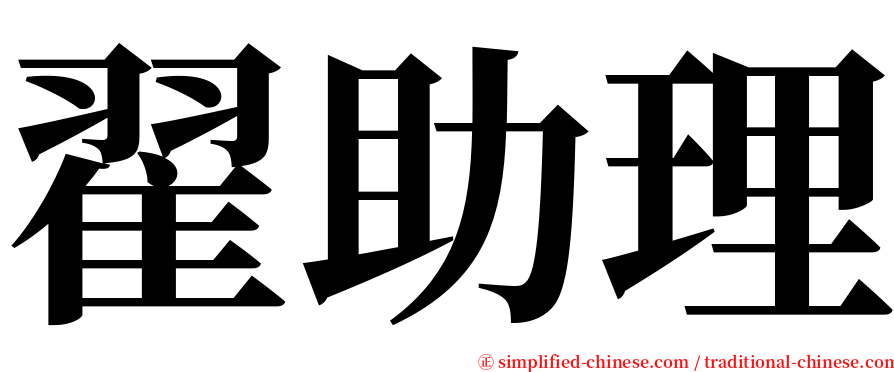 翟助理 serif font