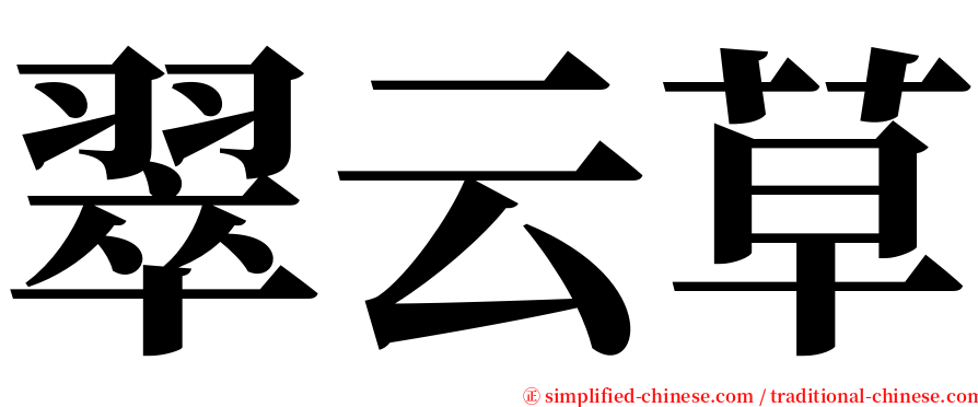 翠云草 serif font