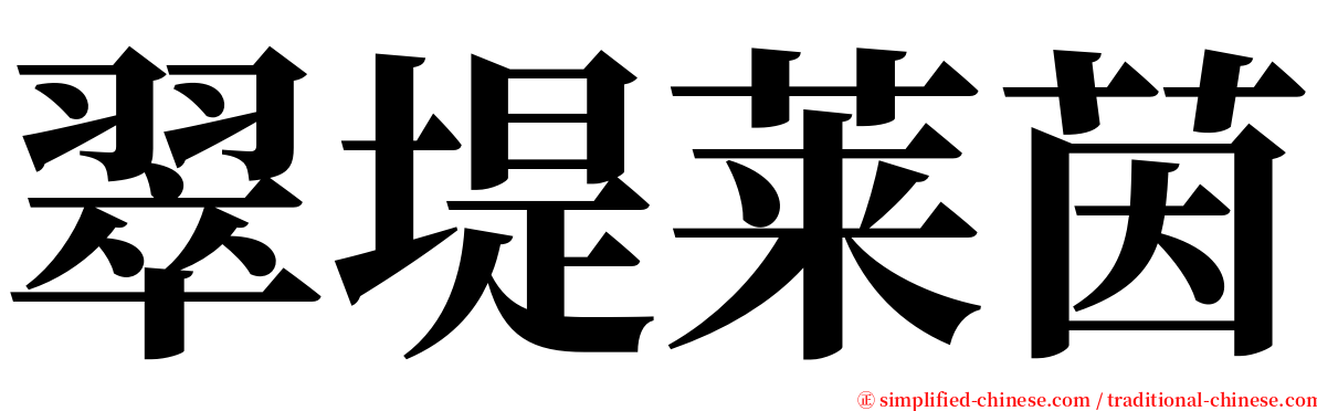 翠堤莱茵 serif font