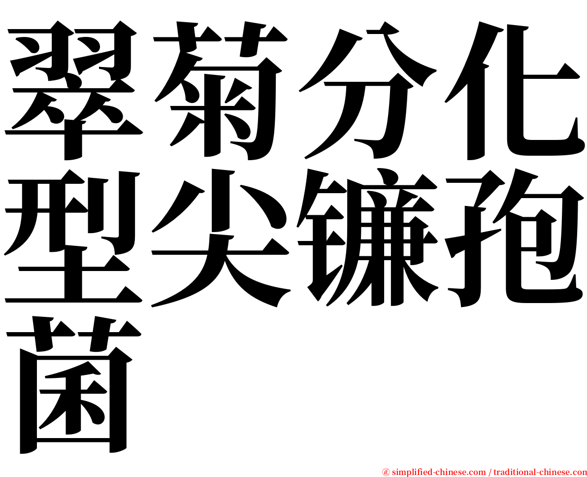 翠菊分化型尖镰孢菌 serif font