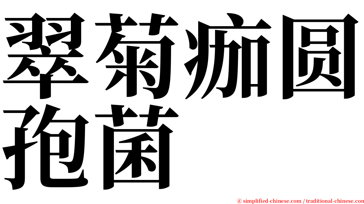 翠菊痂圆孢菌 serif font