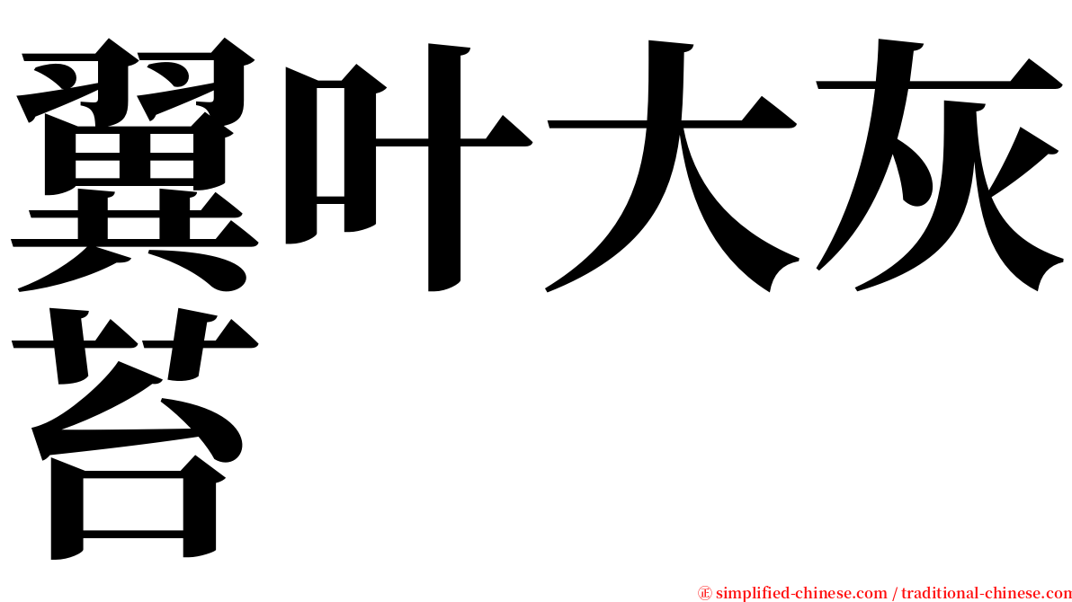 翼叶大灰苔 serif font