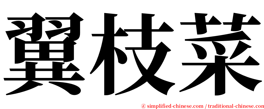 翼枝菜 serif font