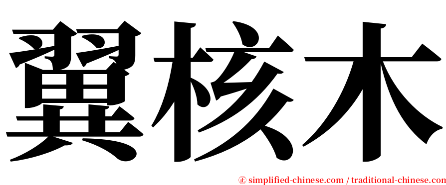 翼核木 serif font