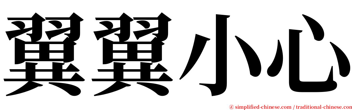 翼翼小心 serif font