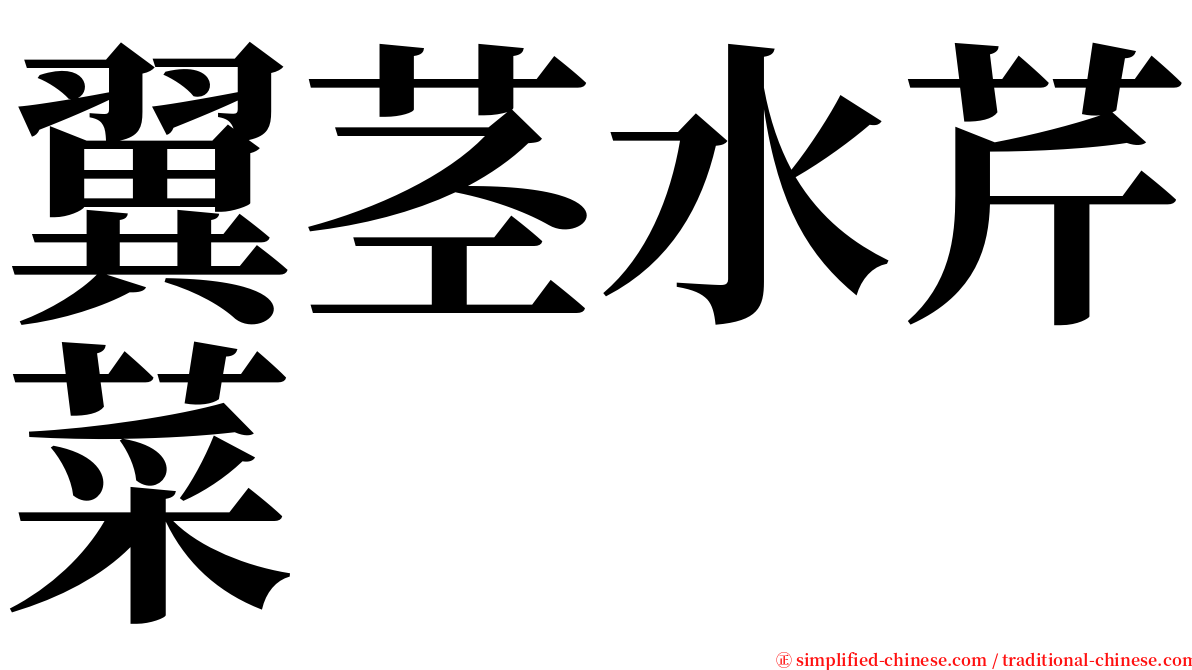 翼茎水芹菜 serif font