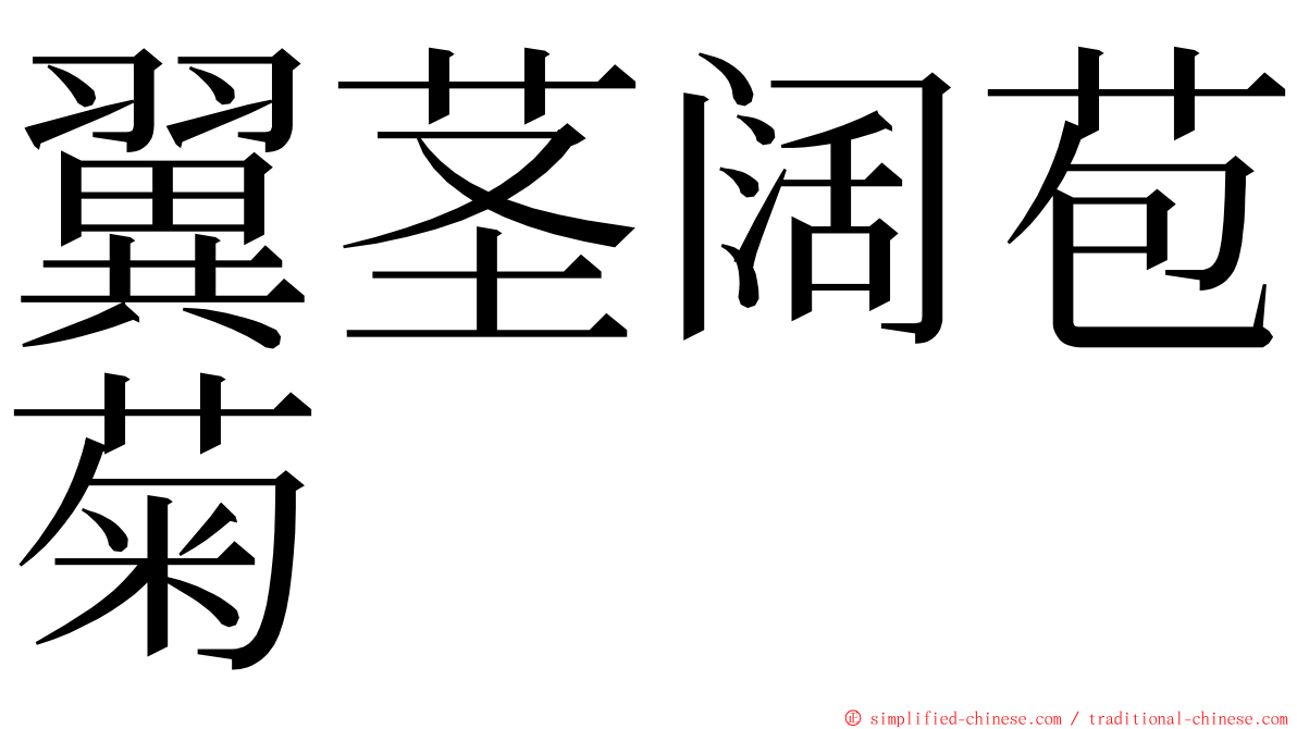 翼茎阔苞菊 ming font