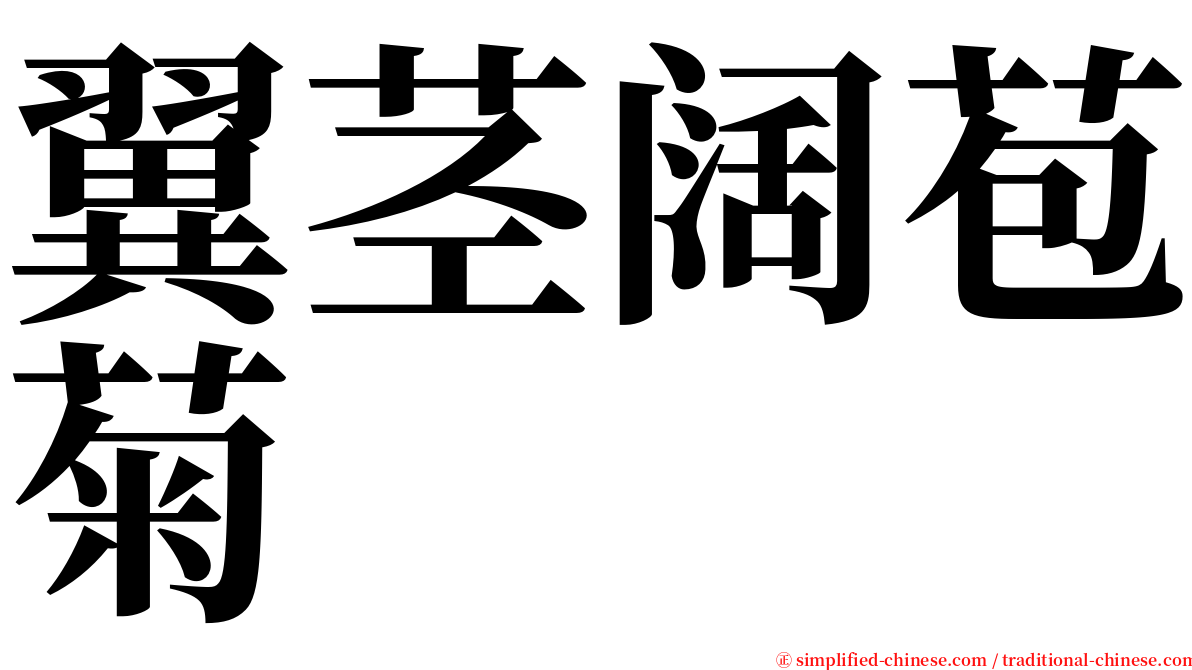 翼茎阔苞菊 serif font