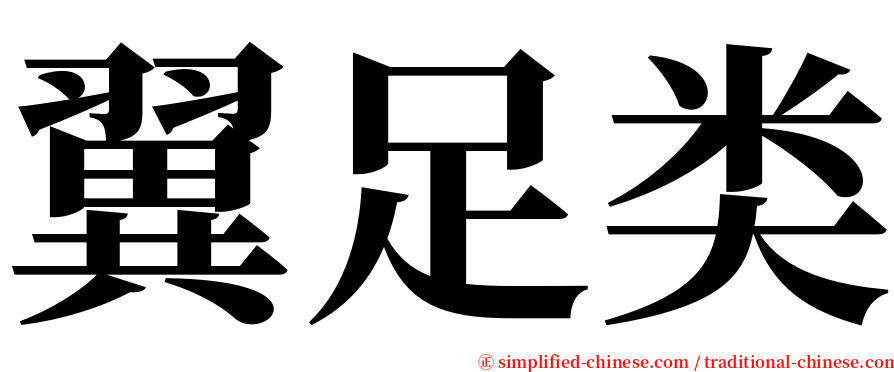 翼足类 serif font