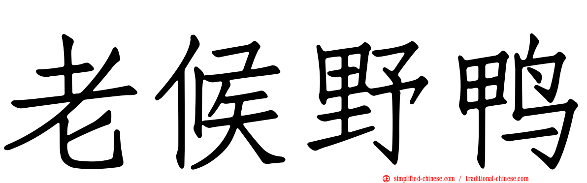 老候野鸭