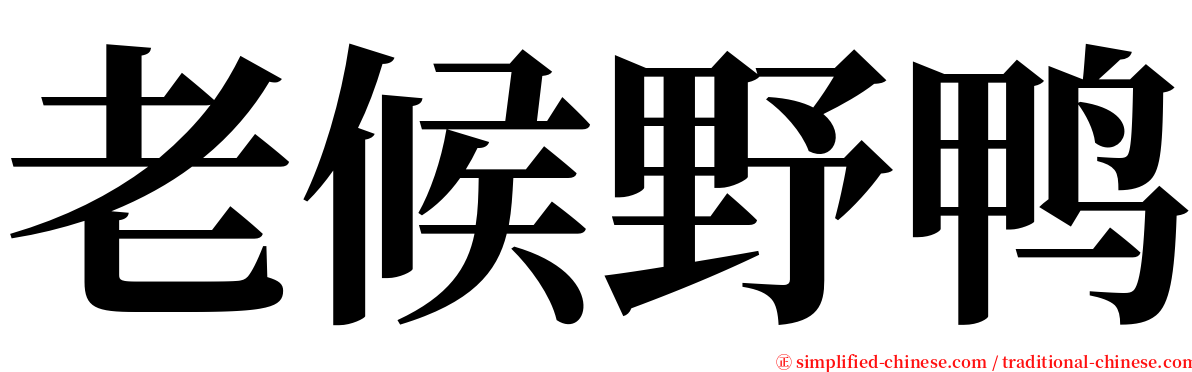 老候野鸭 serif font