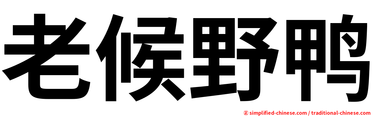 老候野鸭