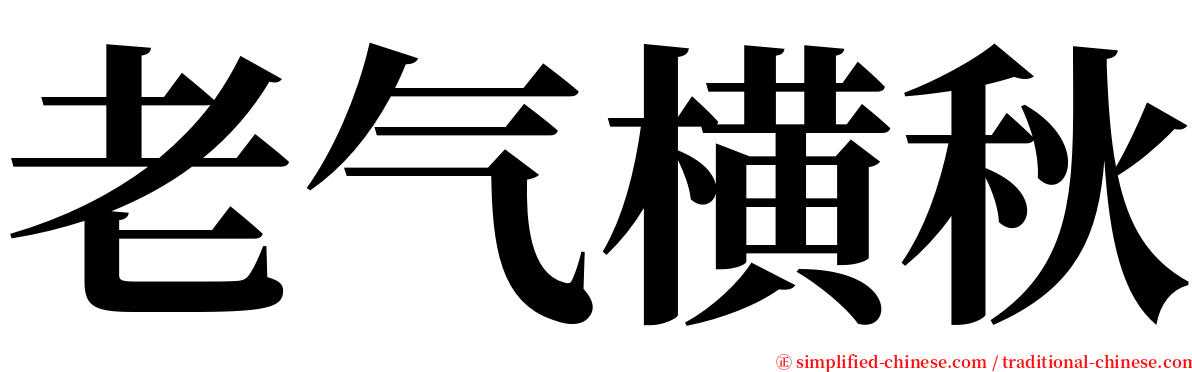 老气横秋 serif font