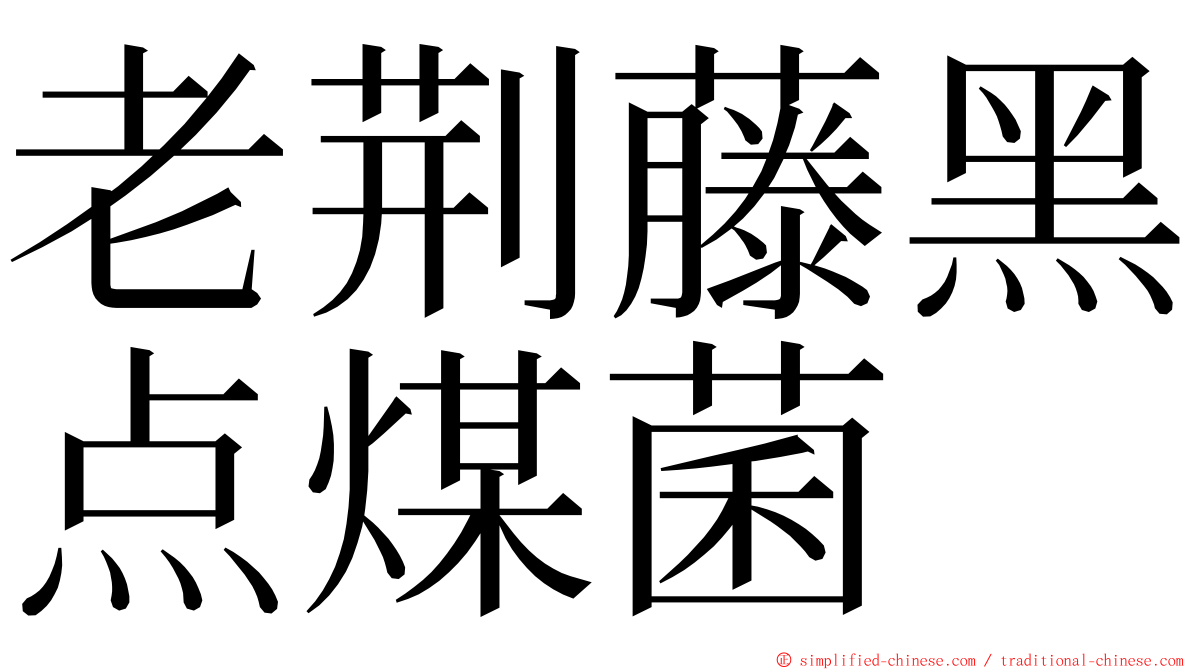 老荆藤黑点煤菌 ming font