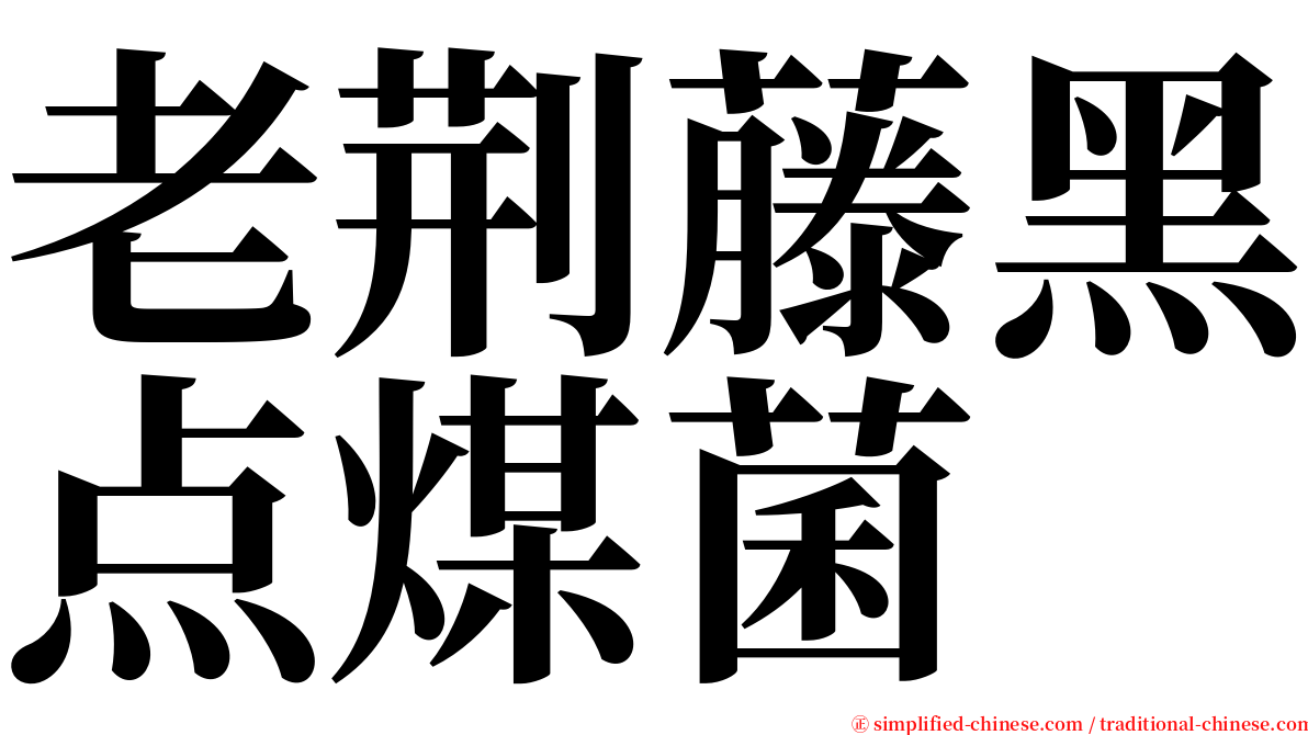 老荆藤黑点煤菌 serif font