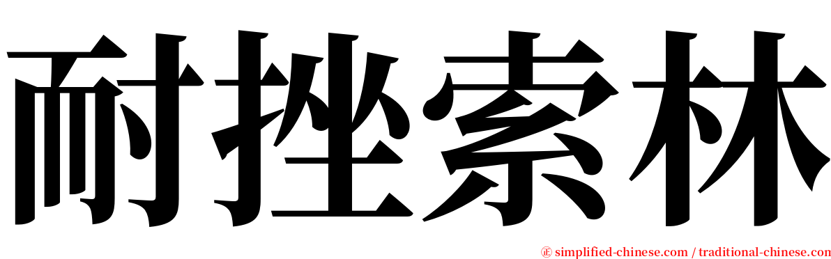 耐挫索林 serif font