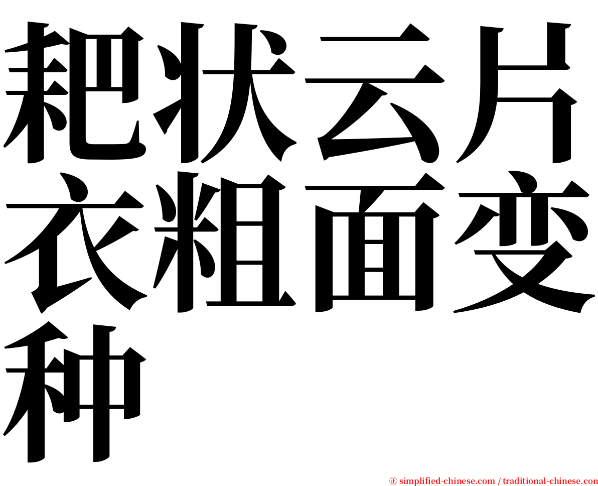 耙状云片衣粗面变种 serif font