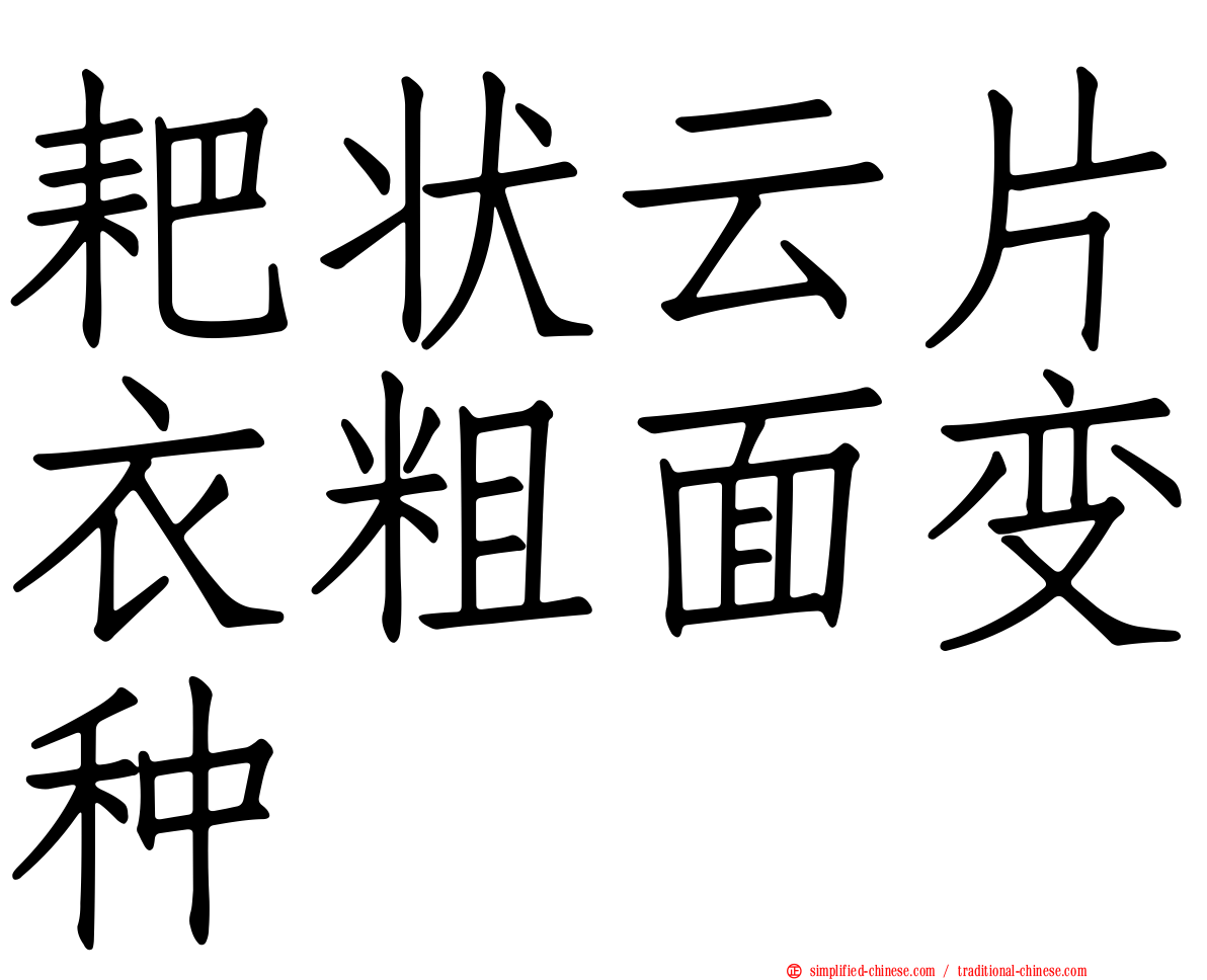 耙状云片衣粗面变种