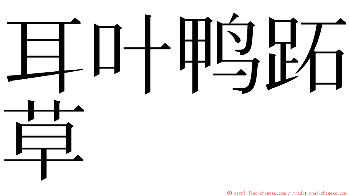 耳叶鸭跖草 ming font