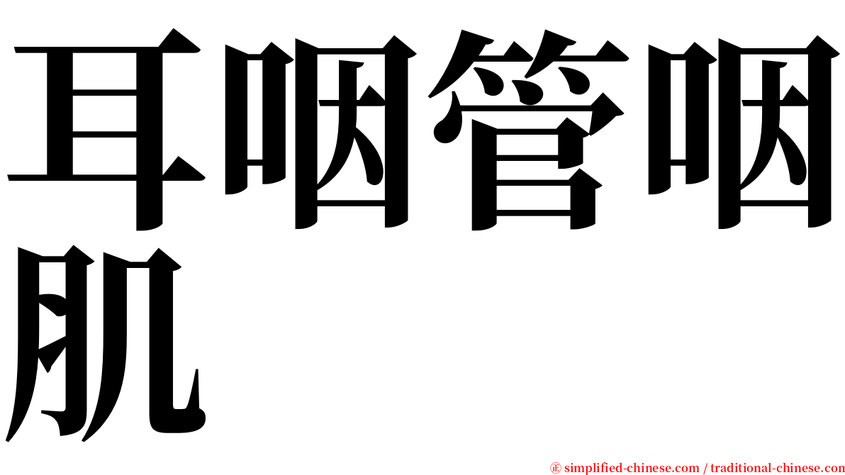 耳咽管咽肌 serif font