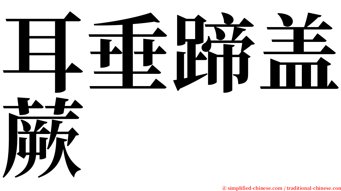 耳垂蹄盖蕨 serif font