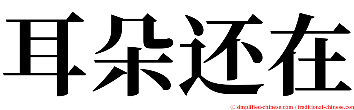 耳朵还在 serif font