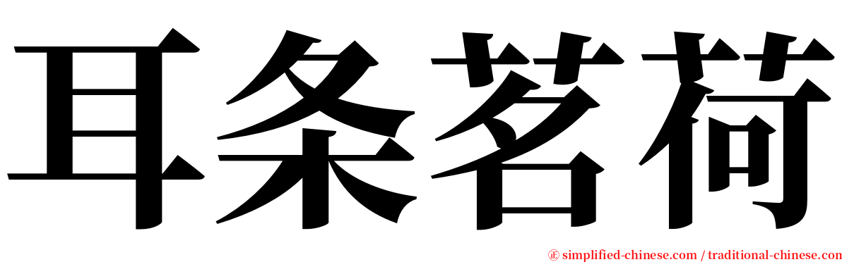 耳条茗荷 serif font