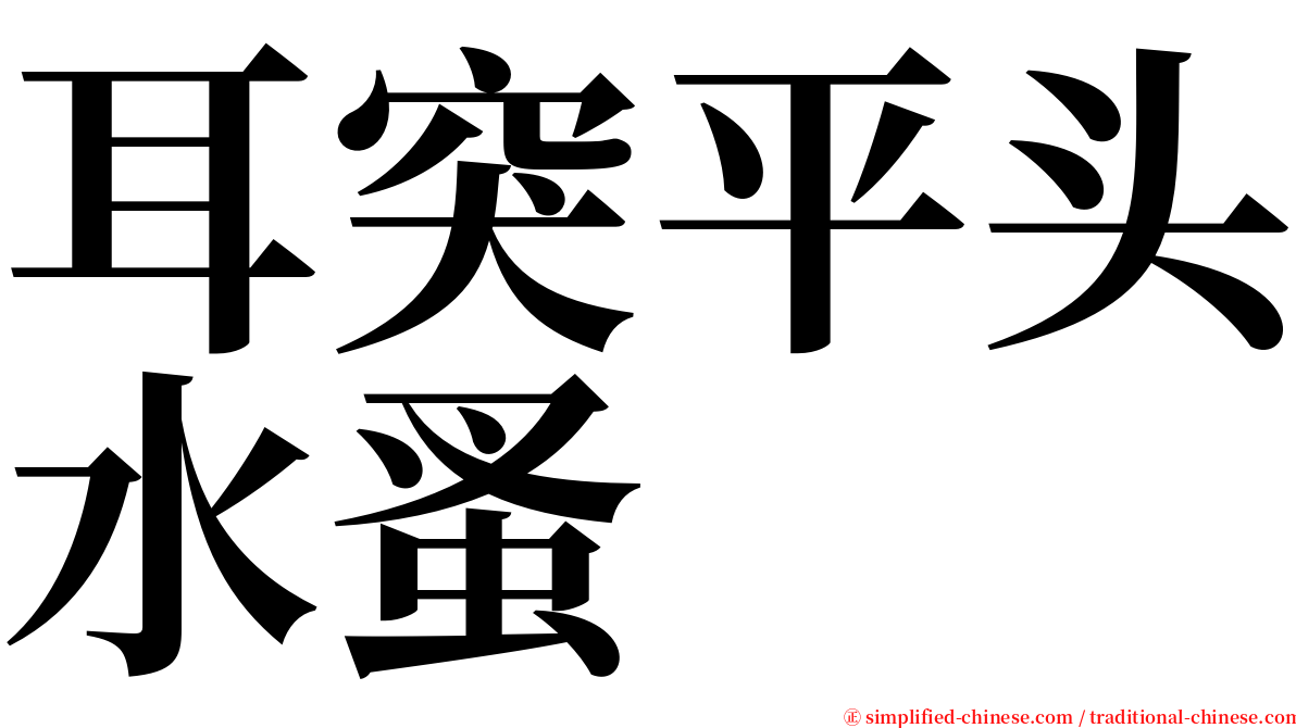 耳突平头水蚤 serif font