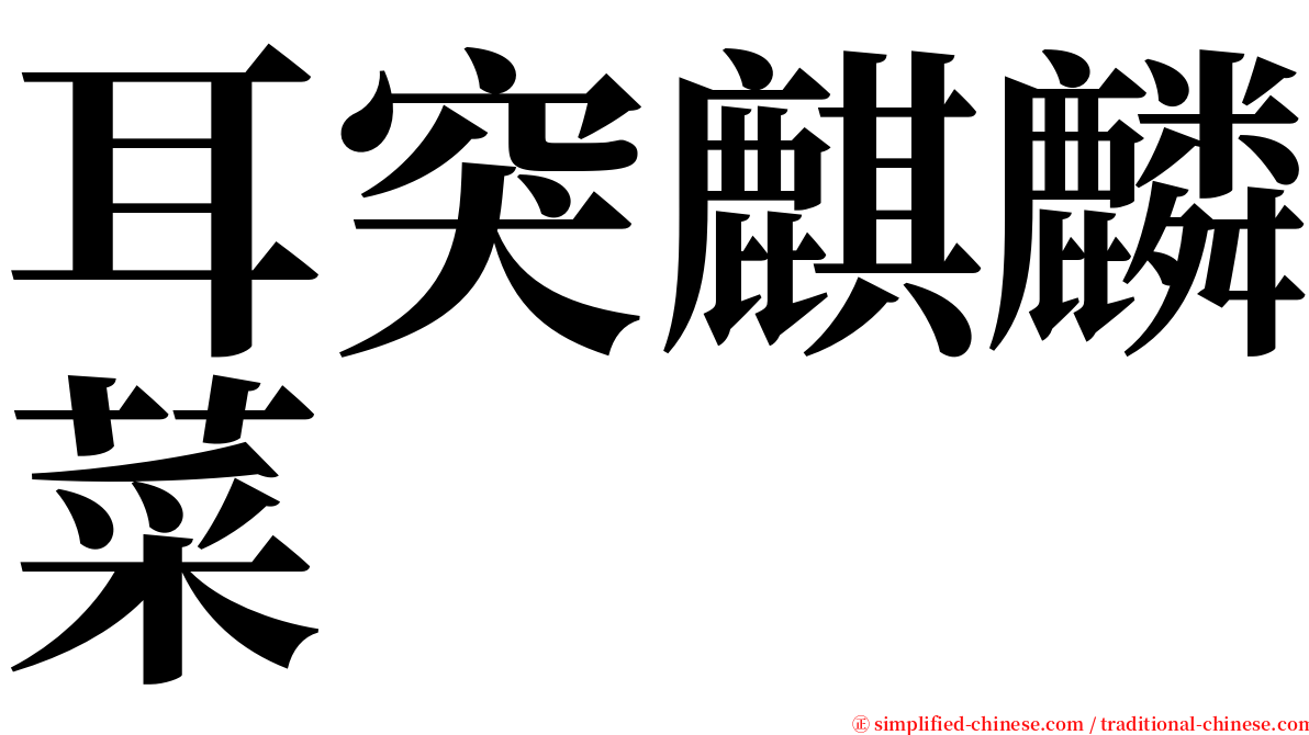 耳突麒麟菜 serif font