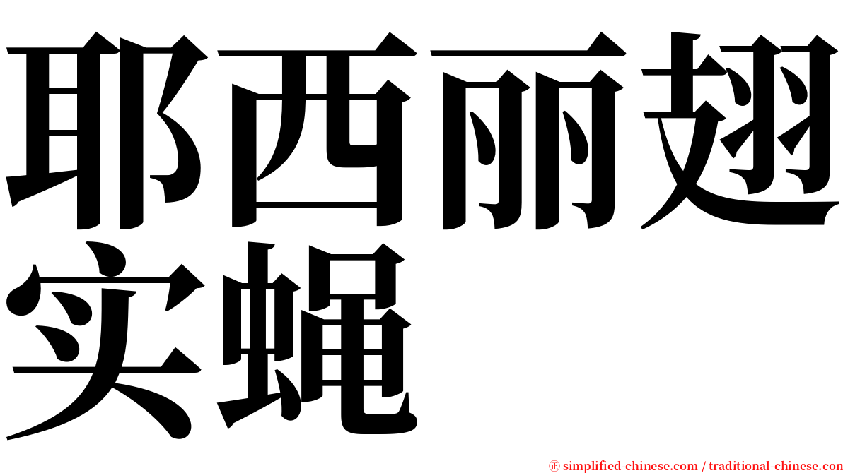 耶西丽翅实蝇 serif font