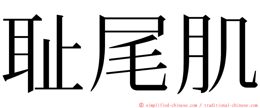 耻尾肌 ming font