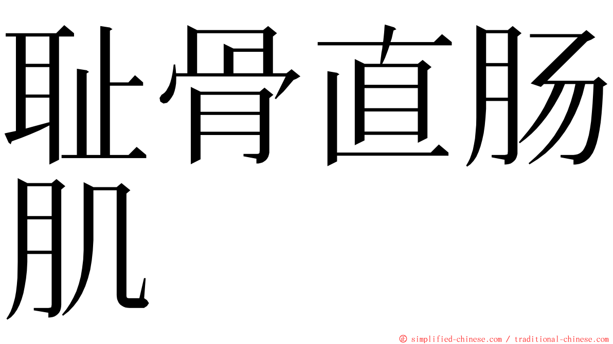 耻骨直肠肌 ming font