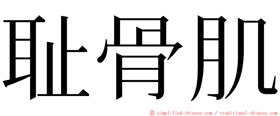 耻骨肌 ming font