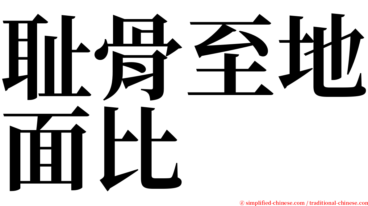 耻骨至地面比 serif font