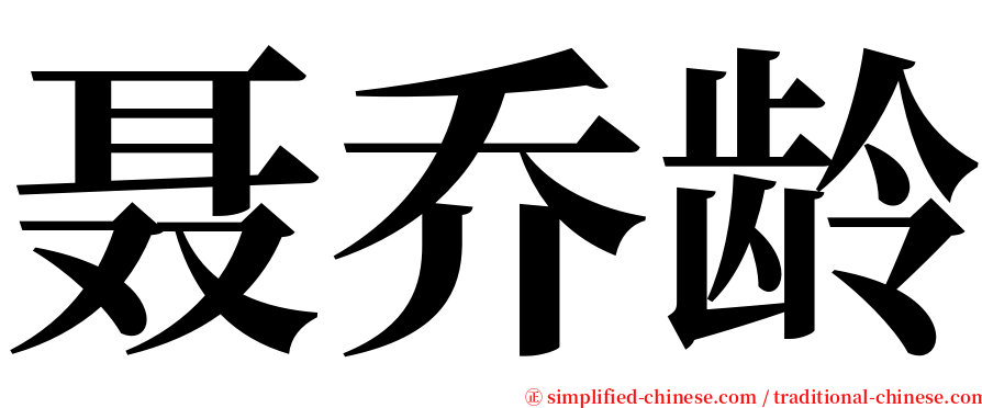 聂乔龄 serif font