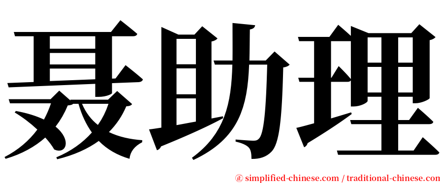 聂助理 serif font