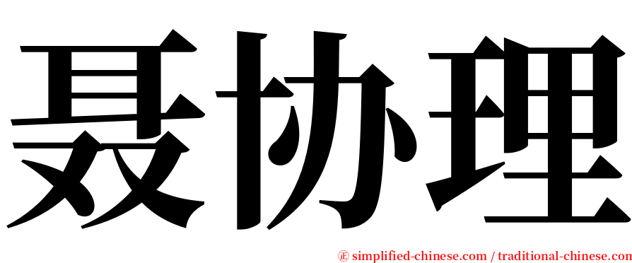 聂协理 serif font