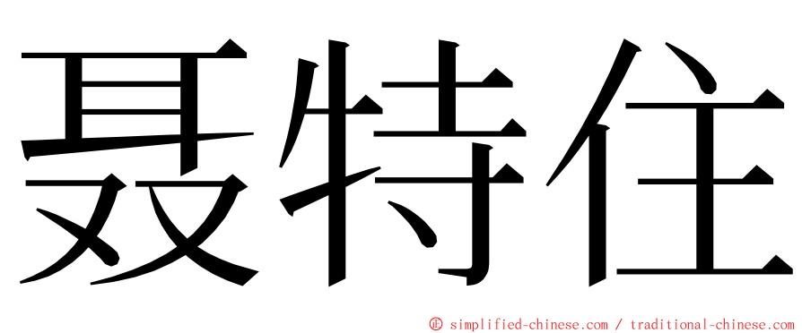 聂特住 ming font