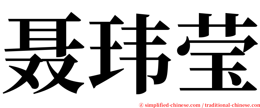 聂玮莹 serif font