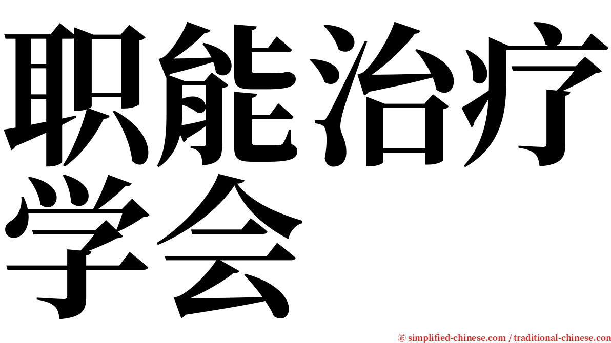 职能治疗学会 serif font