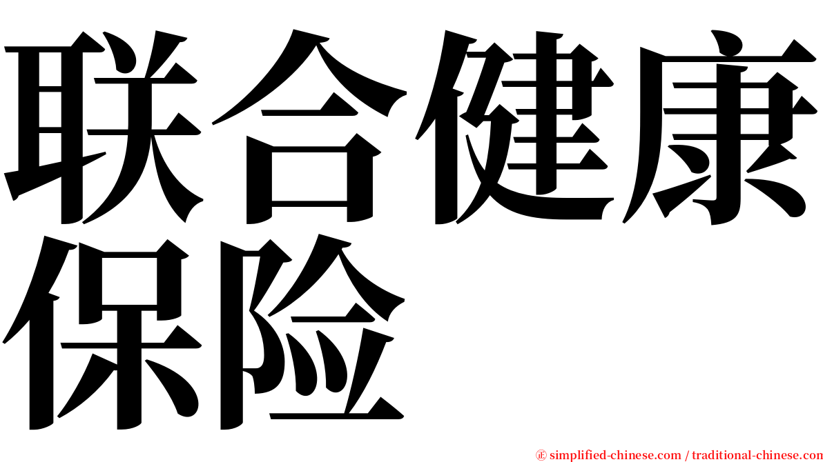 联合健康保险 serif font