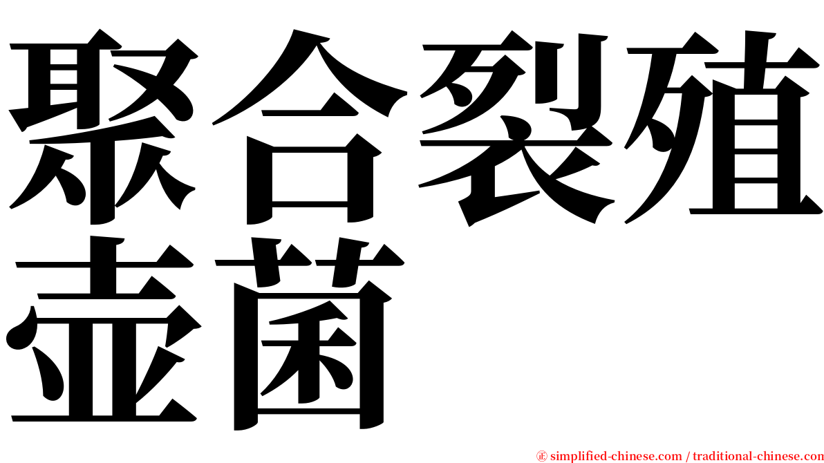 聚合裂殖壶菌 serif font