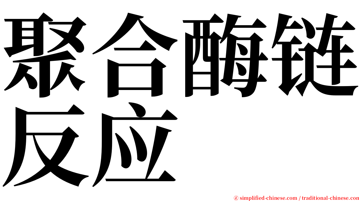 聚合酶链反应 serif font