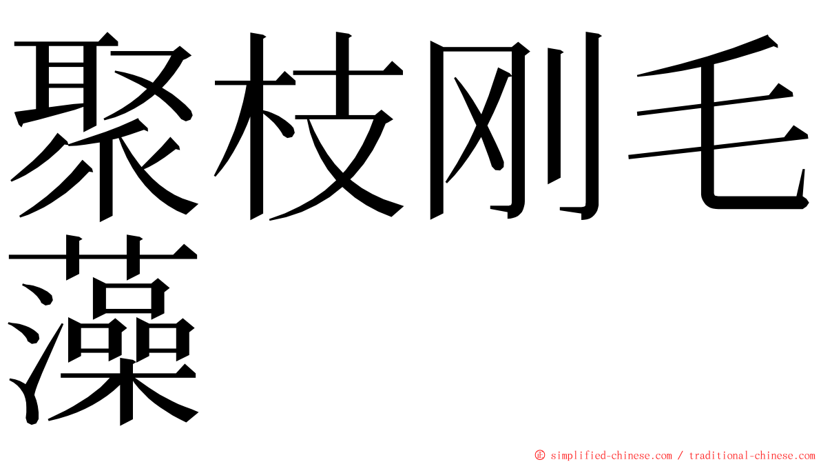 聚枝刚毛藻 ming font