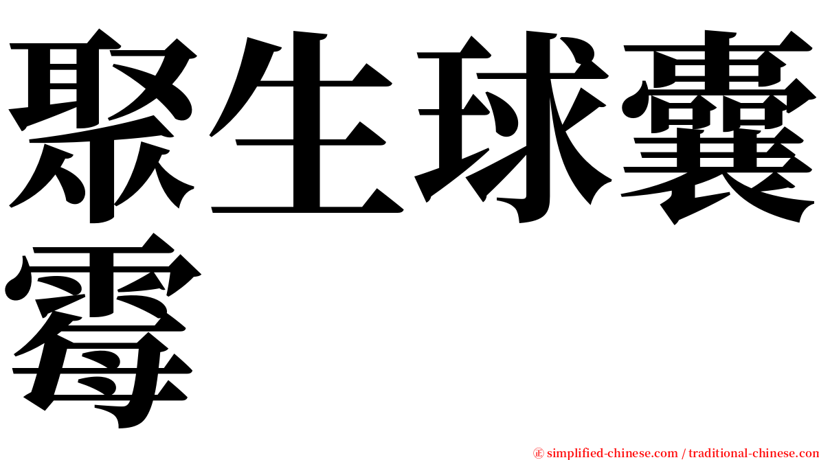 聚生球囊霉 serif font