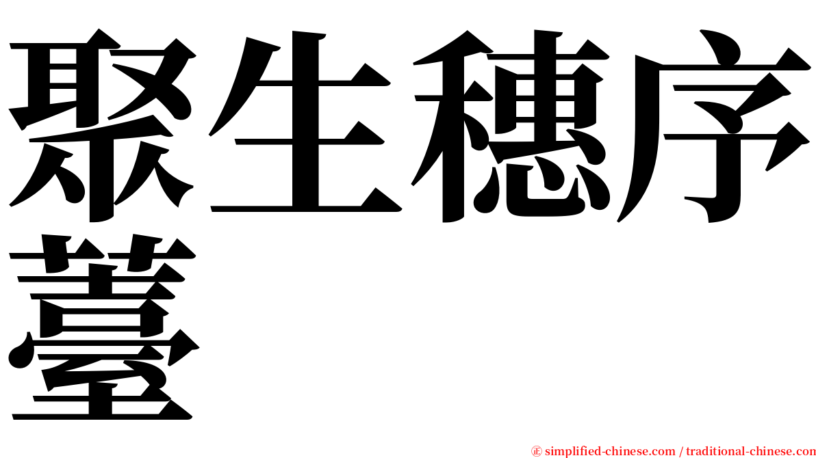 聚生穗序薹 serif font