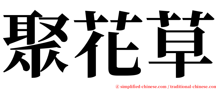 聚花草 serif font