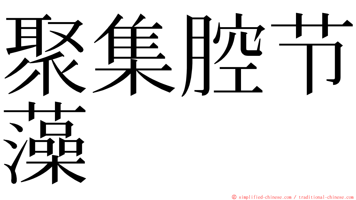 聚集腔节藻 ming font